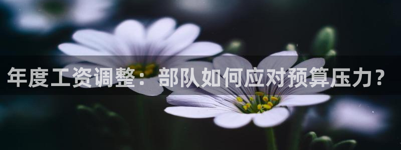 彩易通选号工具