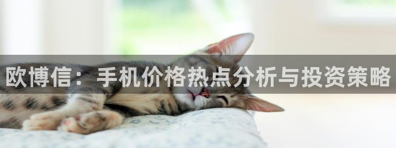 彩易通