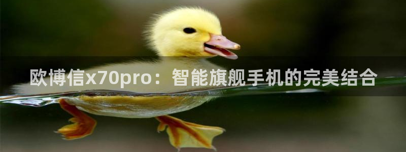彩易通手机版官网