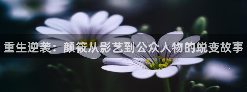 彩易通手机版官网