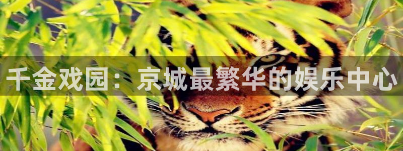 彩易通官网