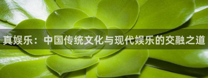 彩易通选号工具：真娱乐：中国传统文化与现代娱乐的交融之道