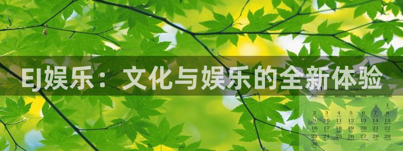 彩易通手机版官网