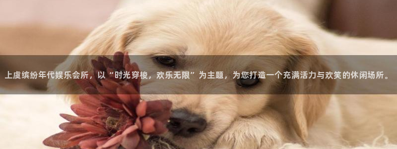 彩易通官网