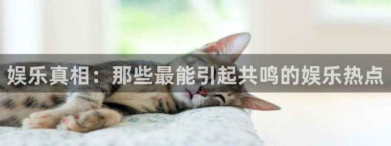彩易通官网