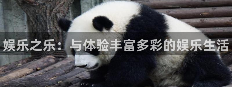 彩易通下载
