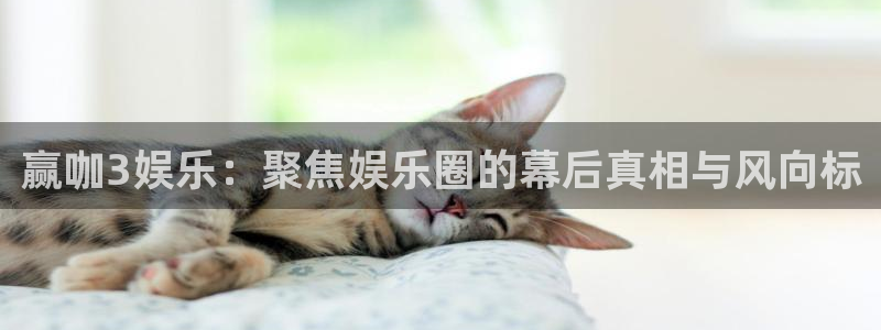 彩易通选号工具