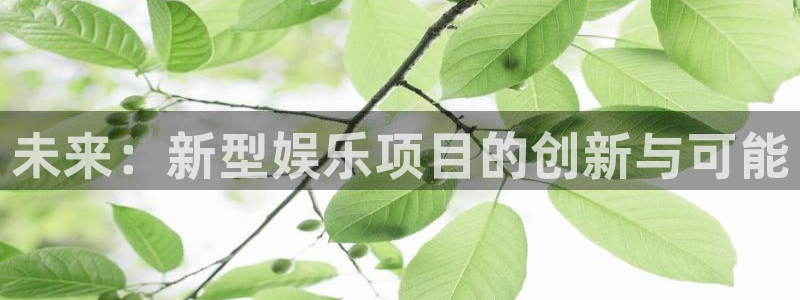 彩易通选号工具